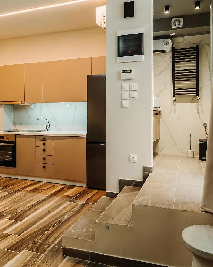 Blackhaus Family And Friends Deluxe Apartment 塞萨洛尼基