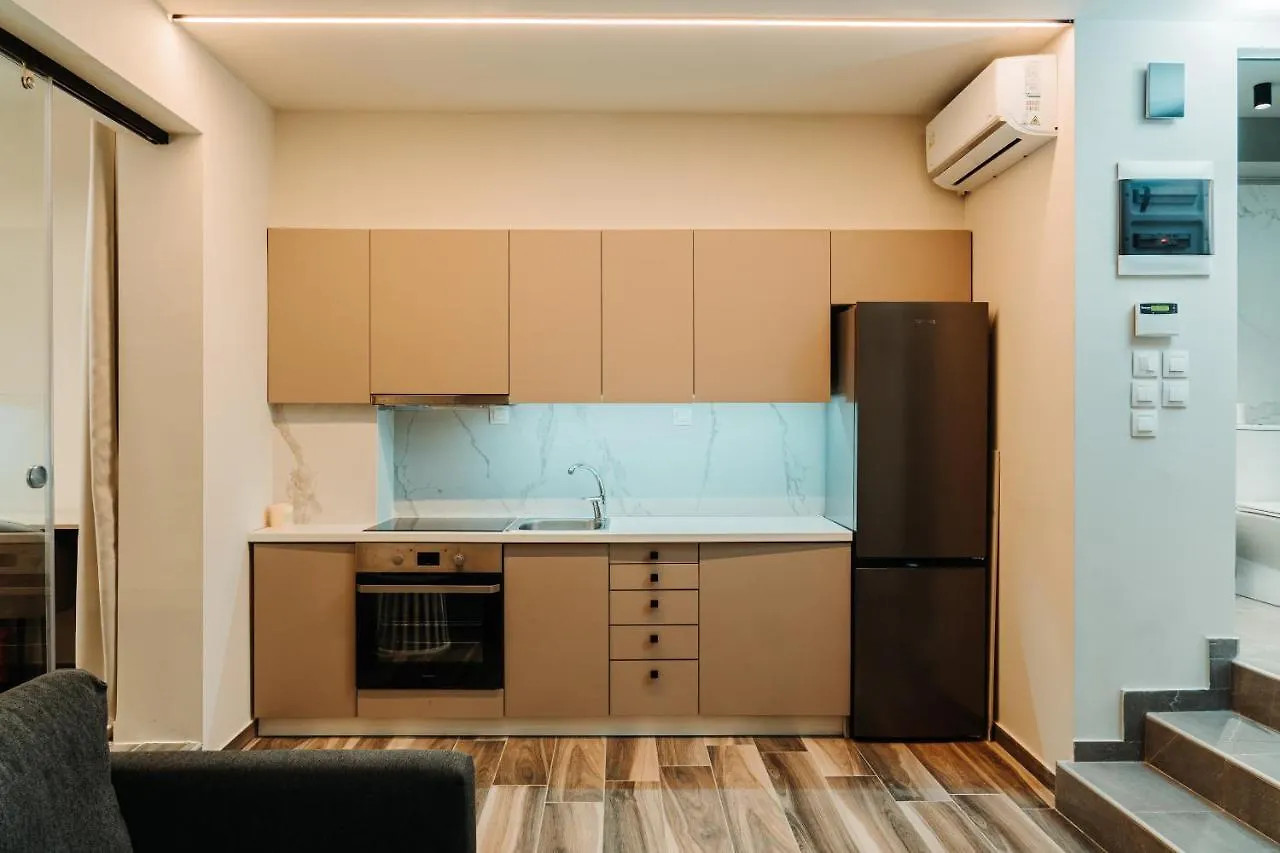 Blackhaus Family And Friends Deluxe Apartment 塞萨洛尼基