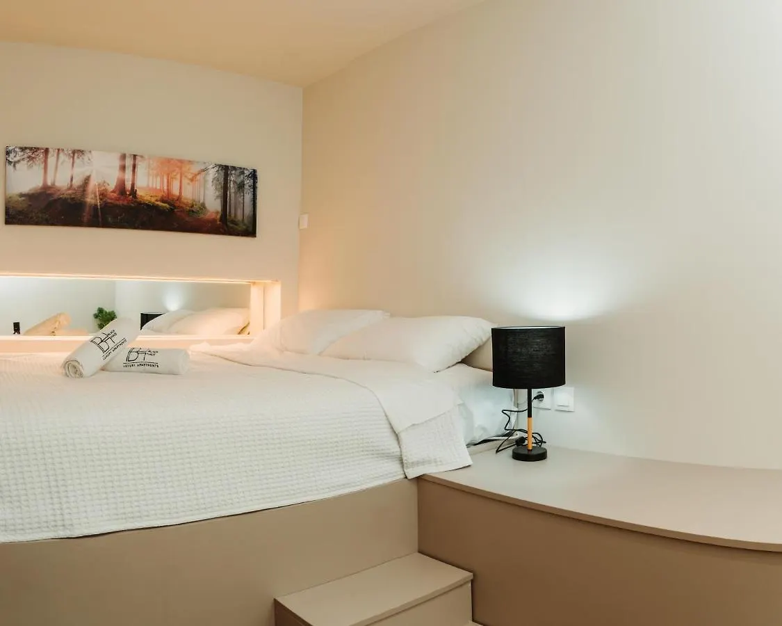 Blackhaus Family And Friends Deluxe Apartment 塞萨洛尼基